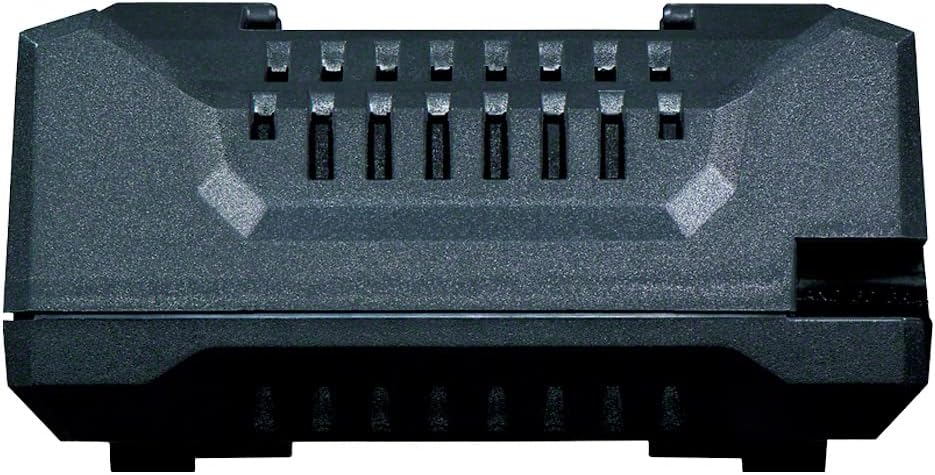 Professional 2 Batteries + AL18V-20 Dual-Voltage Charger Kit